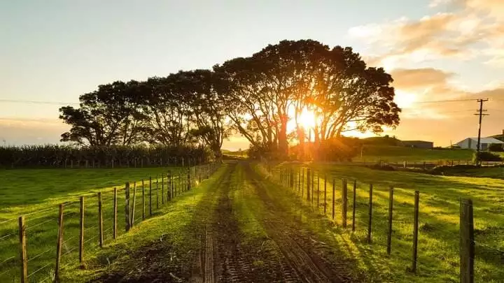 Sunsets in Strange Lands: Living Fully Through Global Adventures