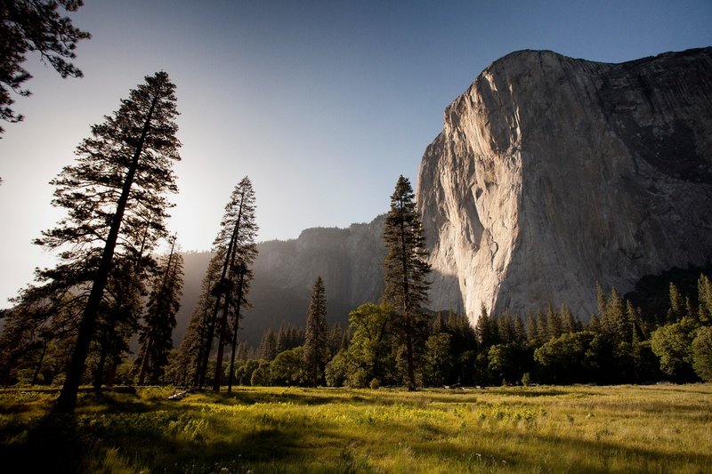 landscape-tree-nature-forest-rock-wilderness-5577-pxhere.com